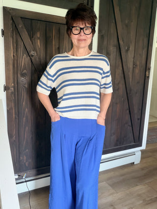 Gaia Pleat Wide-Leg Pants - Blue-BottomsGaia Pleat Wide-Leg Pants - Blue | VerClare Boutique | Jenison MI -Pleat Wide-Leg Pants are a beautiful lightweight woven cropped wide-leg pant featuring elegant pleat detailing, a comfortable pull-on waistband with elastic back, and functional side pockets. Free US shipping from VerClare Boutique.-VerClare Boutique